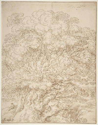 Study of an Old Tree by Gillis Neyts